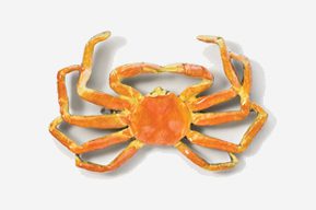 #531CP - Opilio / Snow Crab Hand Painted Pin