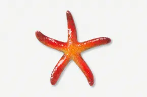 #539AP - Sugar Star Hand Painted Pin
