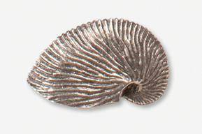 #549 - Nautilus Shell Antiqued Pewter Pin