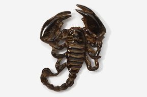 #566P - Scorpion Hand Painted Pin