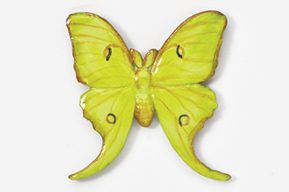 #571P - Luna Moth Hand Painted Pin