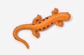 #589P-R - Red Eft Salamander Hand Painted Pin