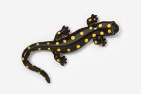 #589P-S - Spotted Salamander Hand Painted Pin