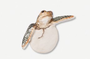 #607AP - Hatchling Sea Turtle  Hand Painted Pin