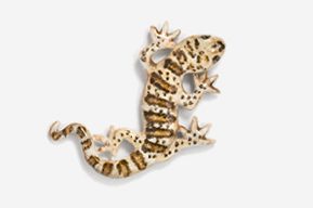 #616P-BR - Brown Gecko Hand Painted Pin