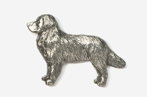 #872 - Bernese Mountain Dog Antiqued Pewter Pin
